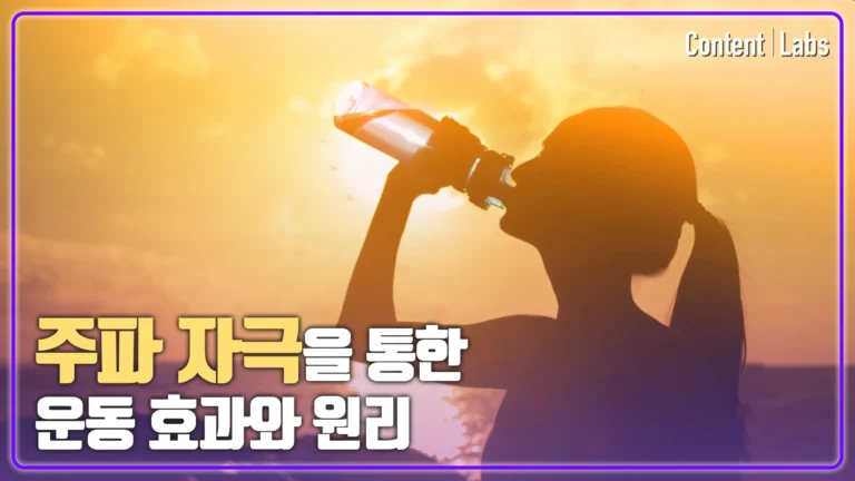 [피에트] 운동 시스템의 이해